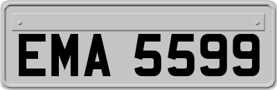 EMA5599