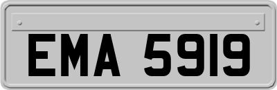 EMA5919