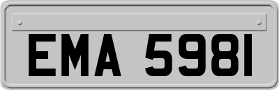 EMA5981