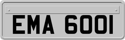 EMA6001