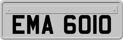 EMA6010
