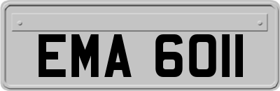 EMA6011
