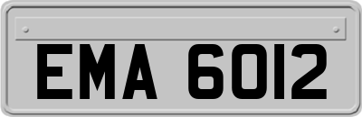 EMA6012