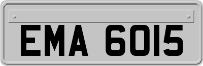 EMA6015