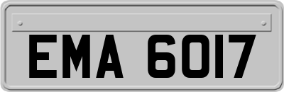 EMA6017