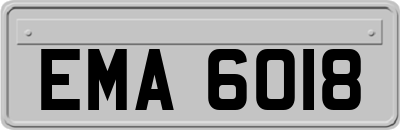 EMA6018