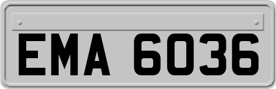 EMA6036