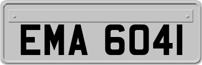 EMA6041