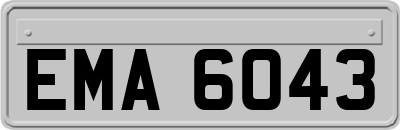 EMA6043
