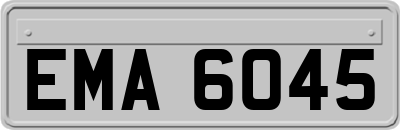 EMA6045