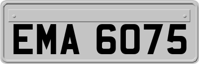 EMA6075
