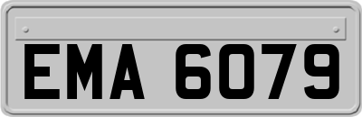 EMA6079