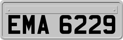 EMA6229