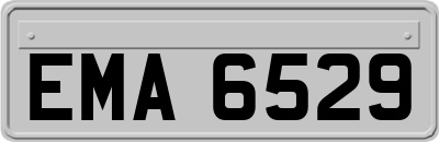 EMA6529