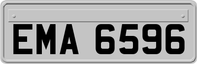 EMA6596