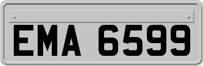 EMA6599