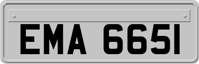 EMA6651