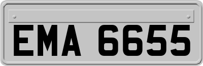 EMA6655