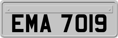 EMA7019