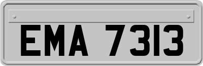 EMA7313