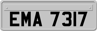 EMA7317