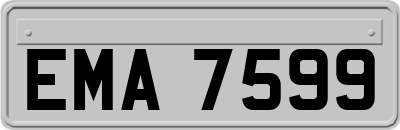 EMA7599