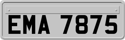 EMA7875