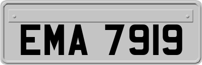 EMA7919