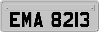 EMA8213