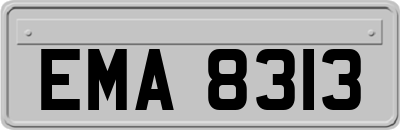 EMA8313