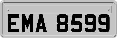 EMA8599