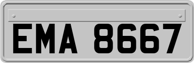 EMA8667