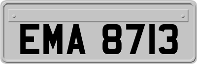 EMA8713