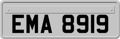 EMA8919