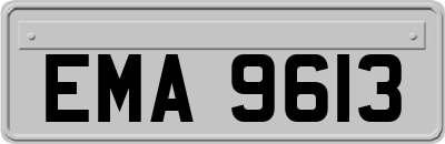 EMA9613