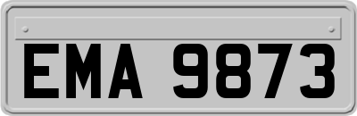EMA9873