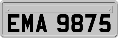 EMA9875