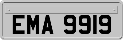 EMA9919
