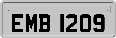 EMB1209