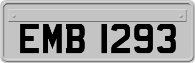 EMB1293