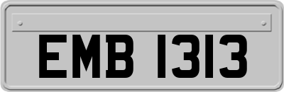 EMB1313