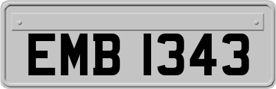 EMB1343