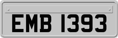EMB1393