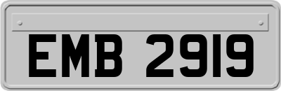 EMB2919