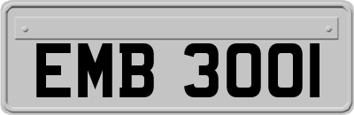 EMB3001