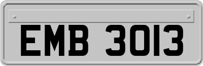 EMB3013