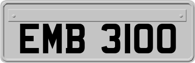 EMB3100
