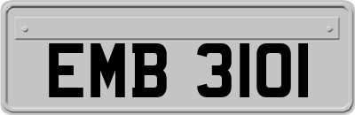 EMB3101