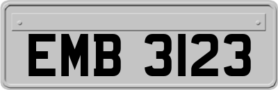 EMB3123