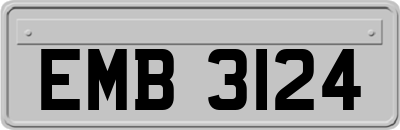 EMB3124
